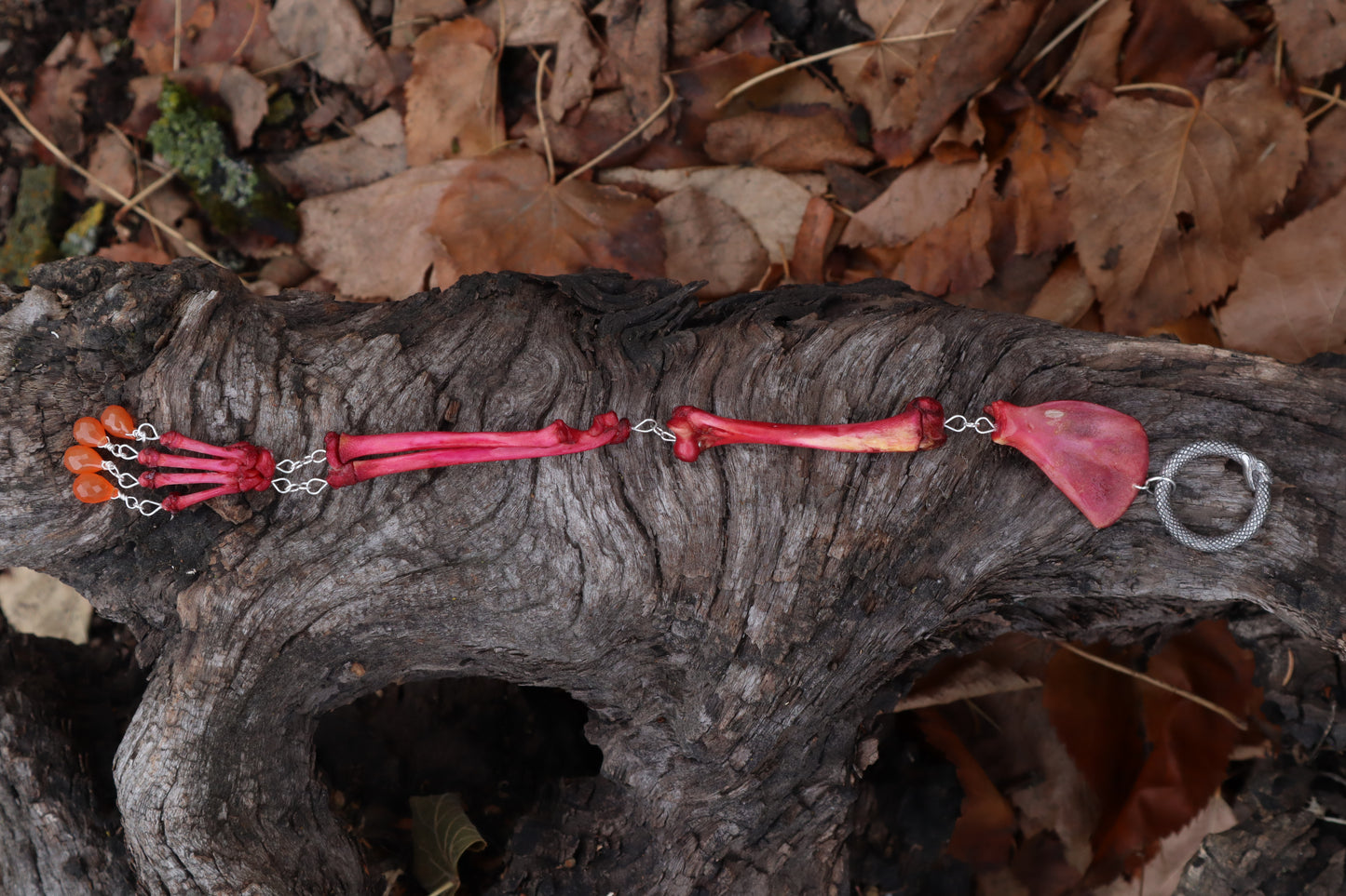 Naturally Stained Kitten Arm Fluid Articulation with Carnelian "Claws"
