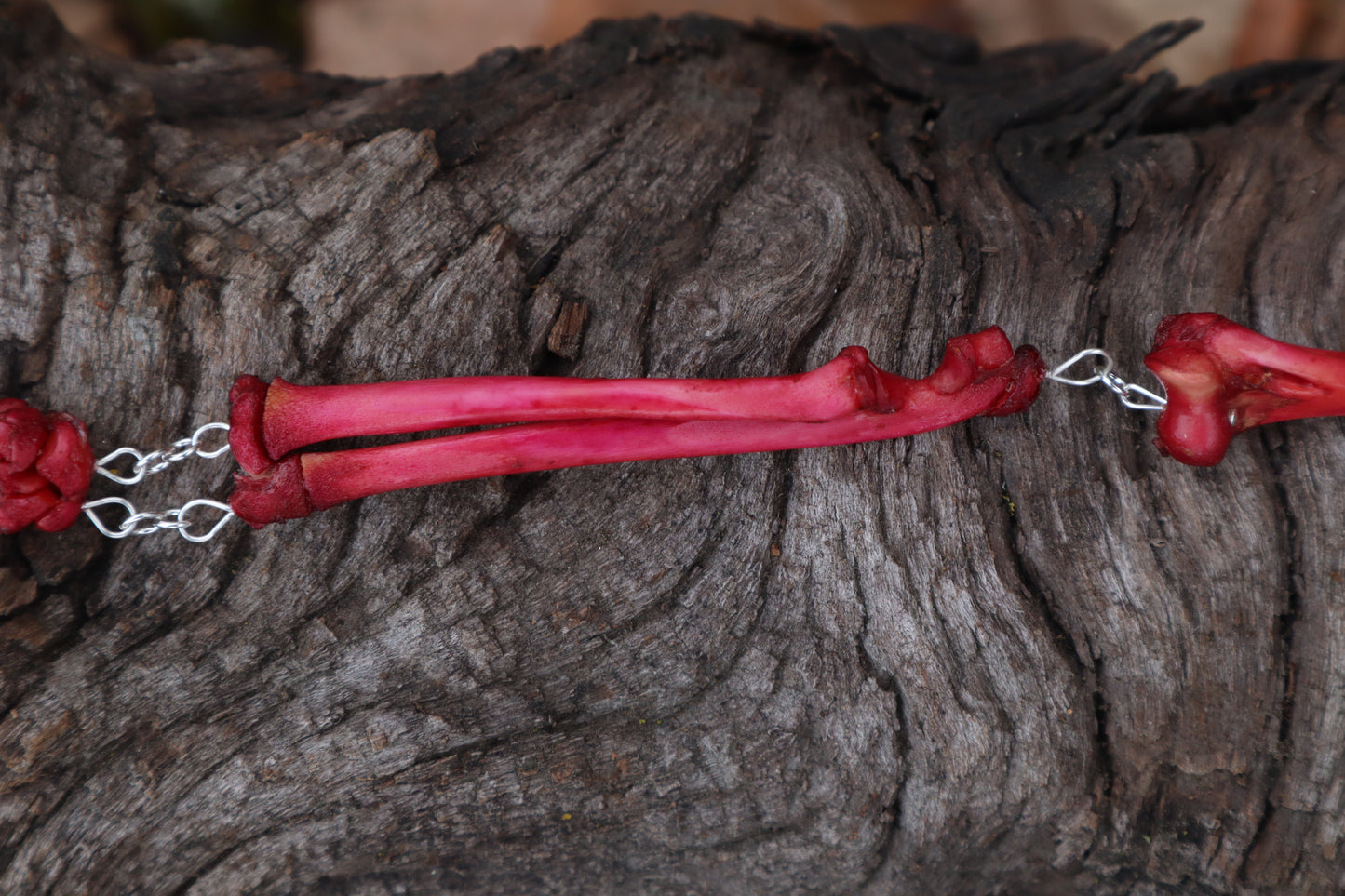 Naturally Stained Kitten Arm Fluid Articulation with Carnelian "Claws"