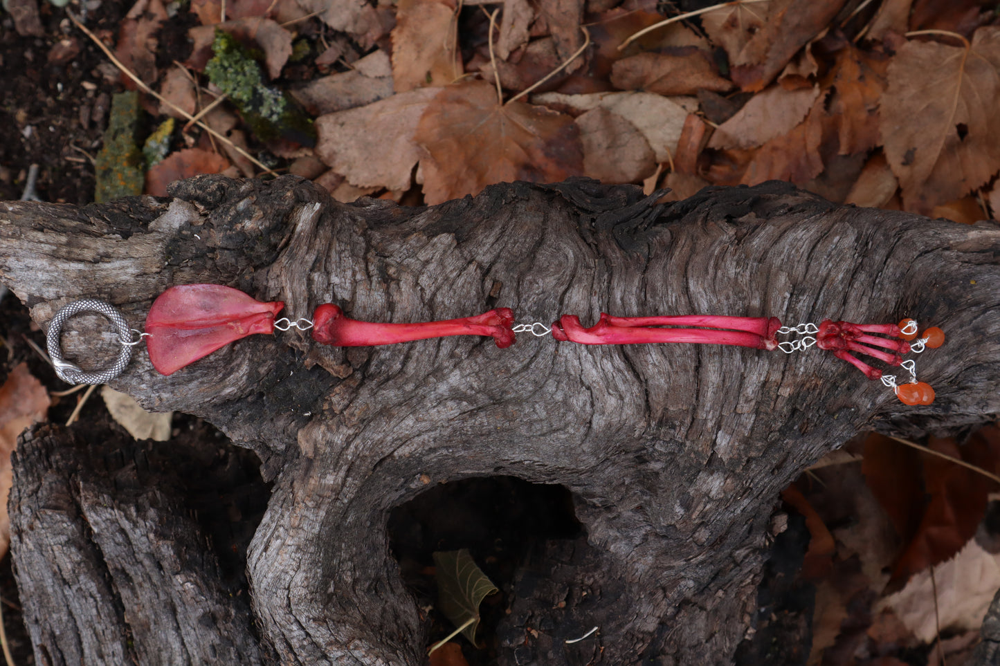 Naturally Stained Kitten Arm Fluid Articulation with Carnelian "Claws"
