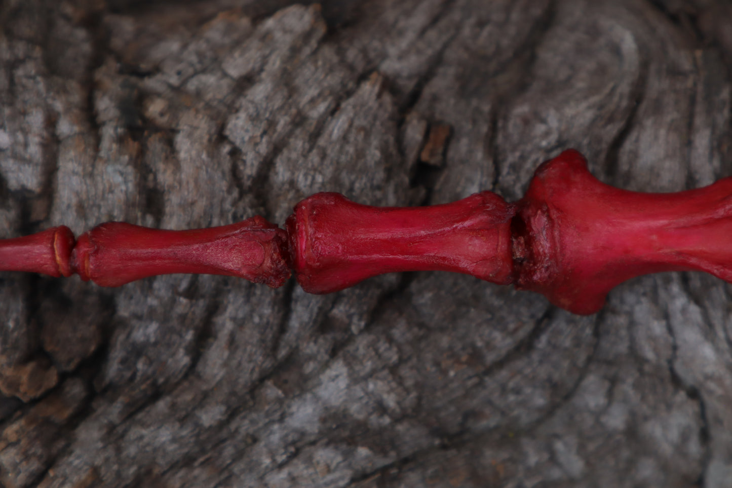 Naturally Stained Elk Tail Articulation