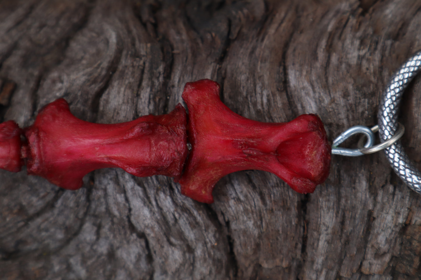 Naturally Stained Elk Tail Articulation