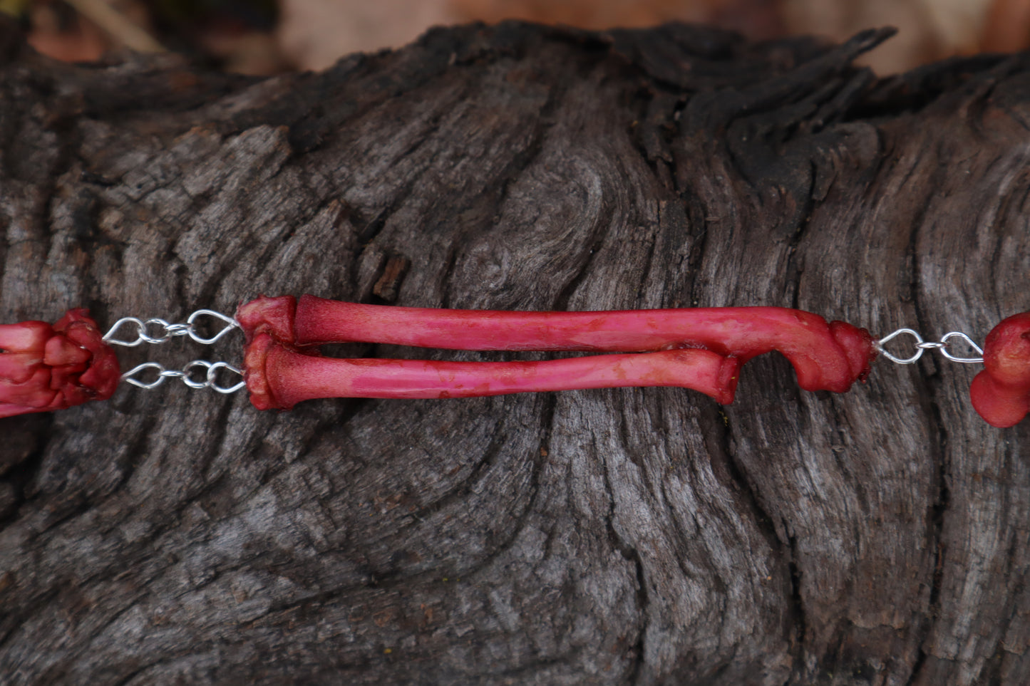 Naturally Stained Kitten Arm Fluid Articulation with Garnet "Claws"