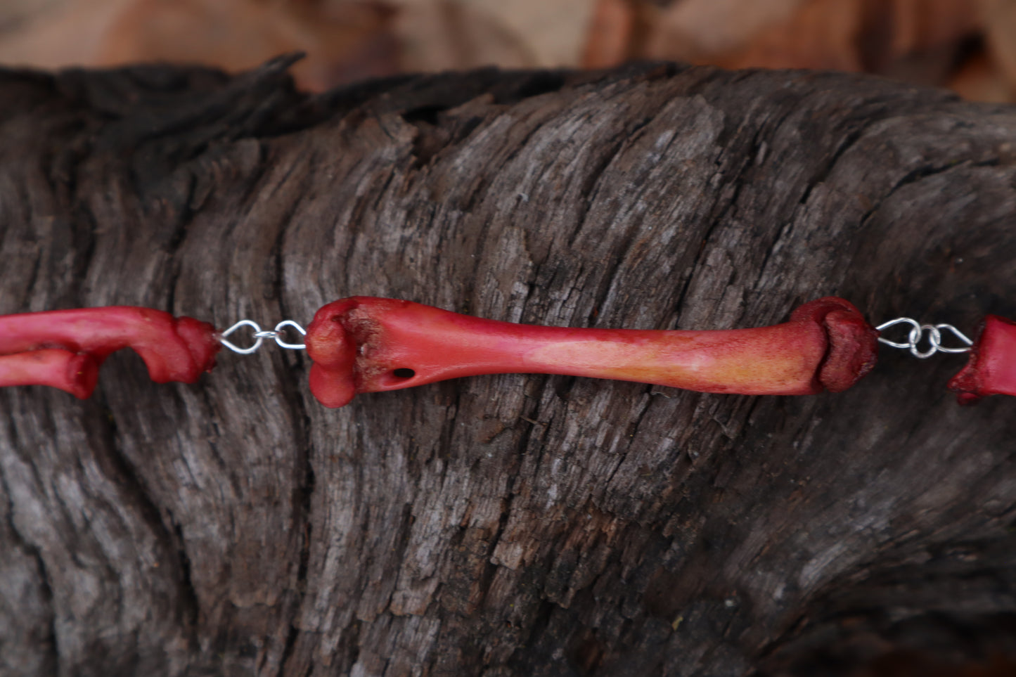 Naturally Stained Kitten Arm Fluid Articulation with Garnet "Claws"