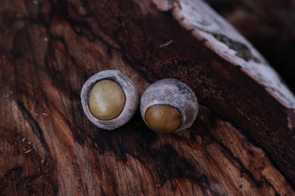 Dry Preserved Gray Wolf Eyeballs