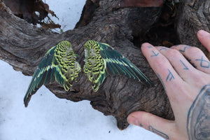 Dry Preserved Parakeet Wings