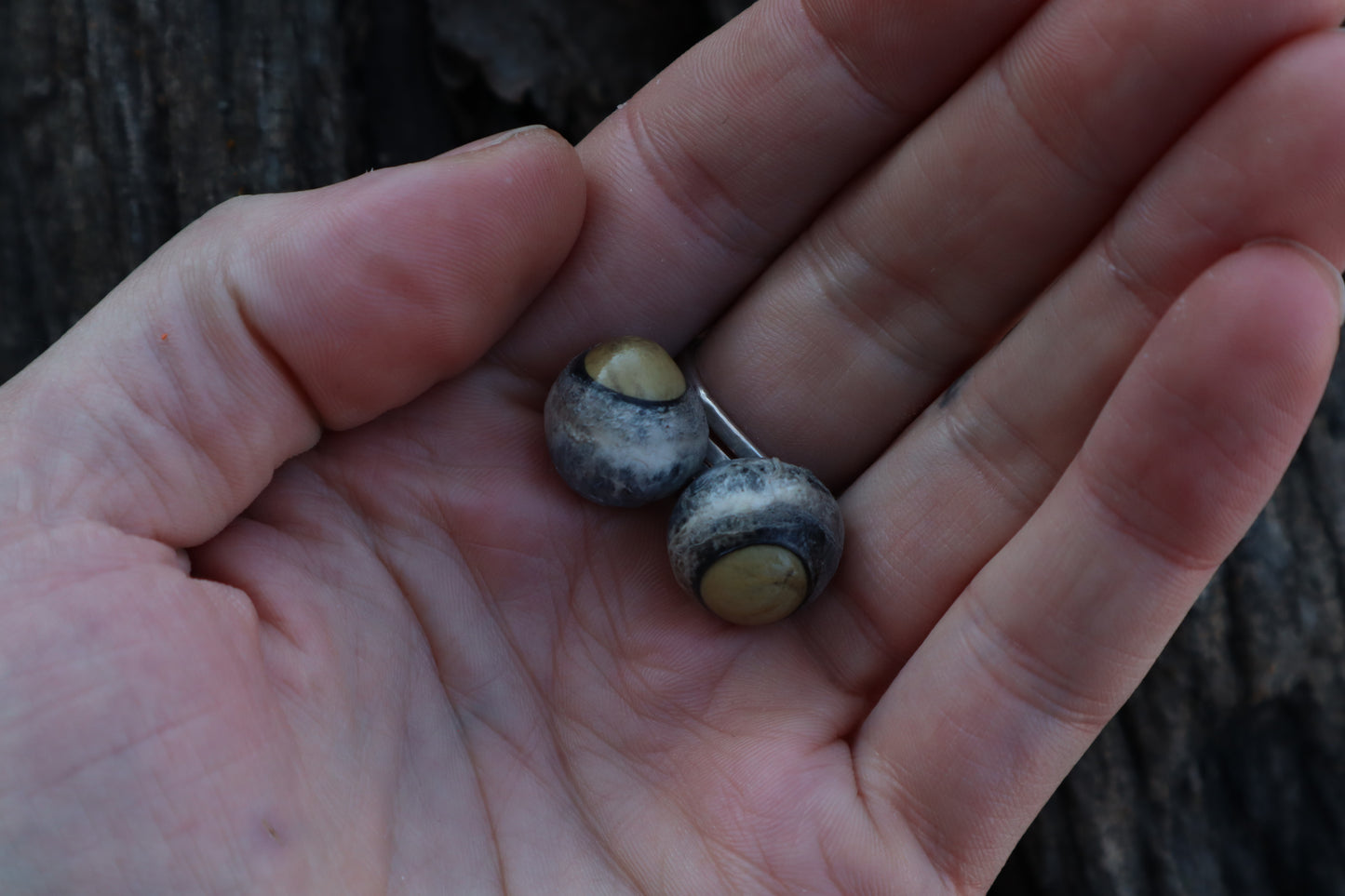 Kitten Skull with Dry Preserved Eyeballs