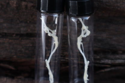 Mouse Leg Articulation
