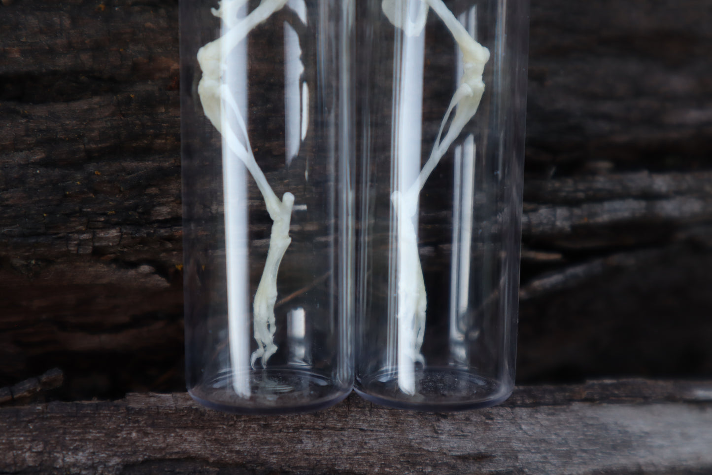 Mouse Leg Articulation