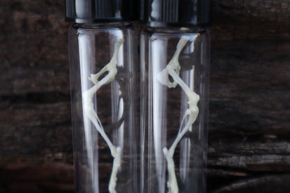 Mouse Leg Articulation