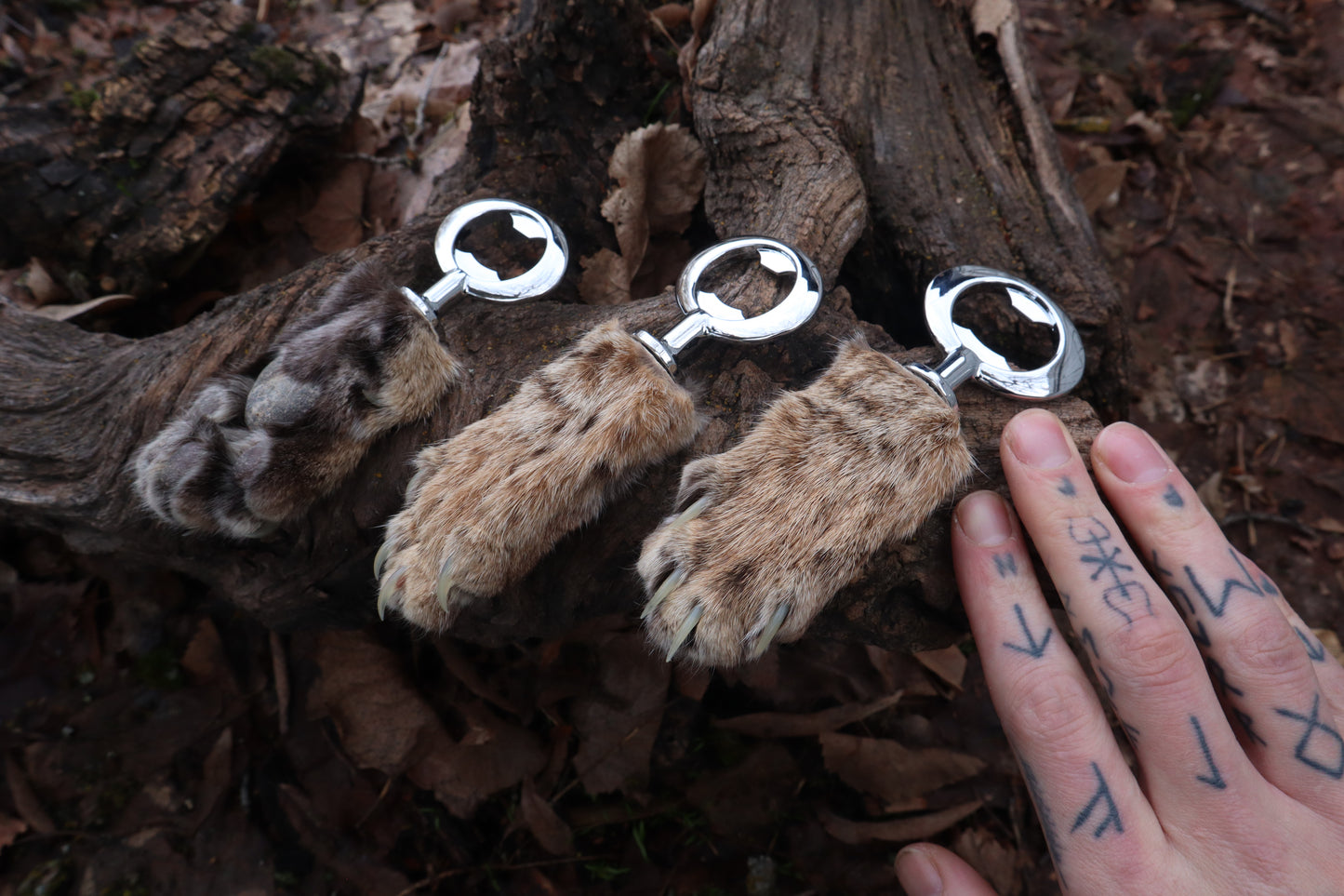 Reserved for Amber Michelle - Bobcat Paw Bottle Opener