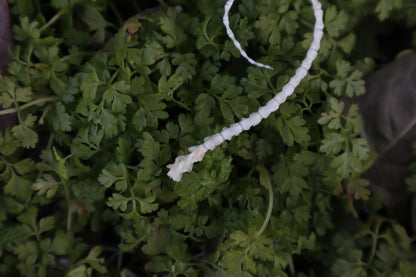 Mouse Tail Articulation
