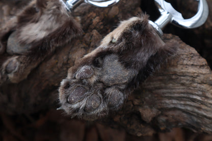 Reserved for Amber Michelle - Bobcat Paw Bottle Opener