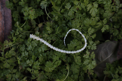 Mouse Tail Articulation