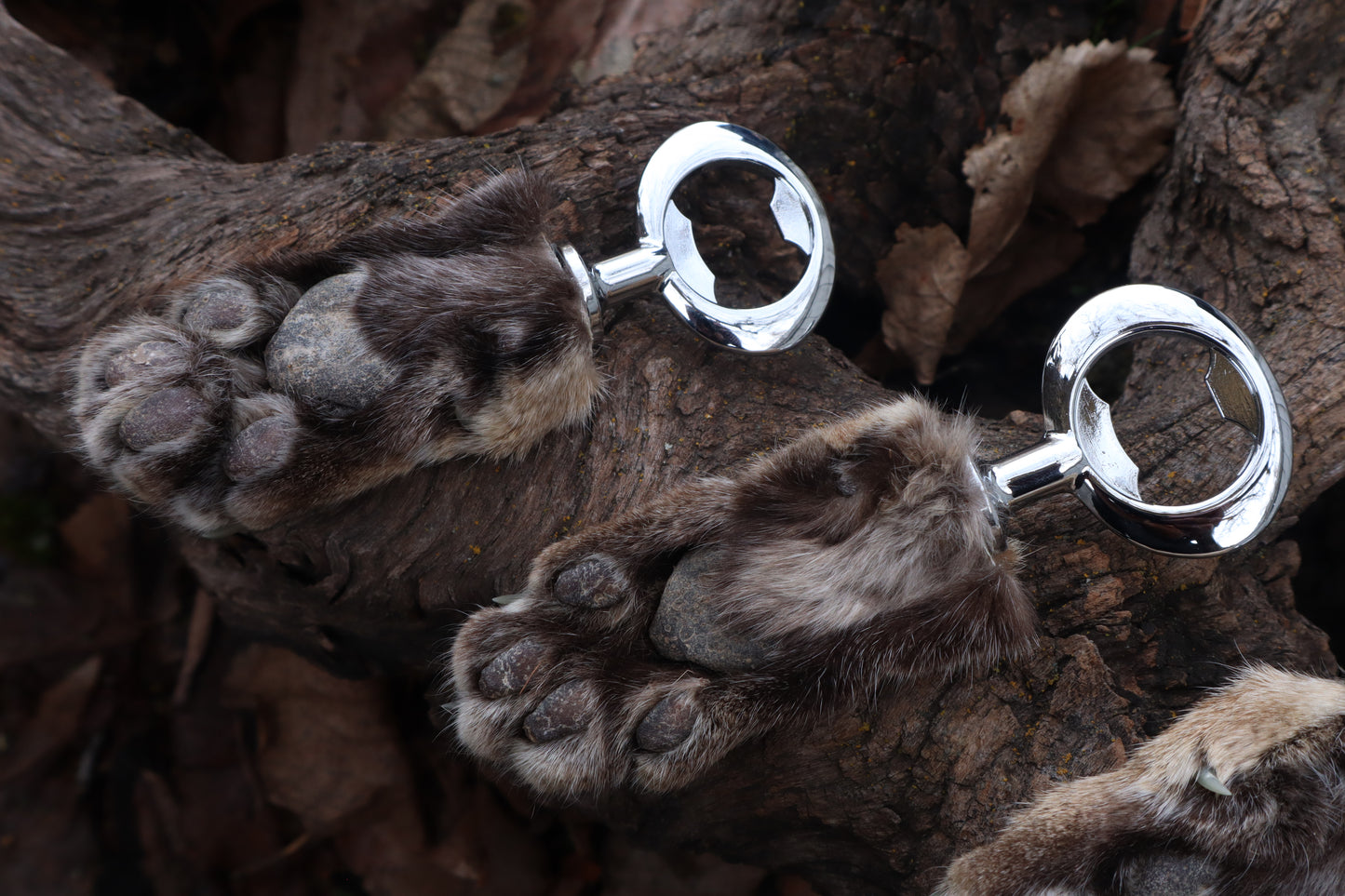 Reserved for Amber Michelle - Bobcat Paw Bottle Opener