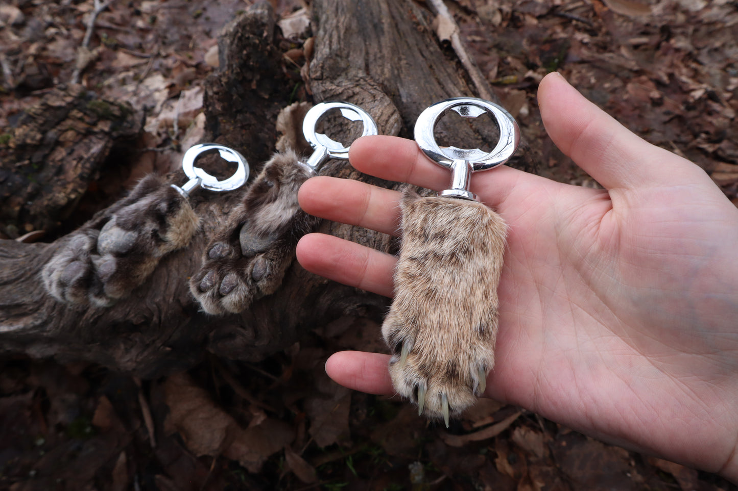 Reserved for Amber Michelle - Bobcat Paw Bottle Opener