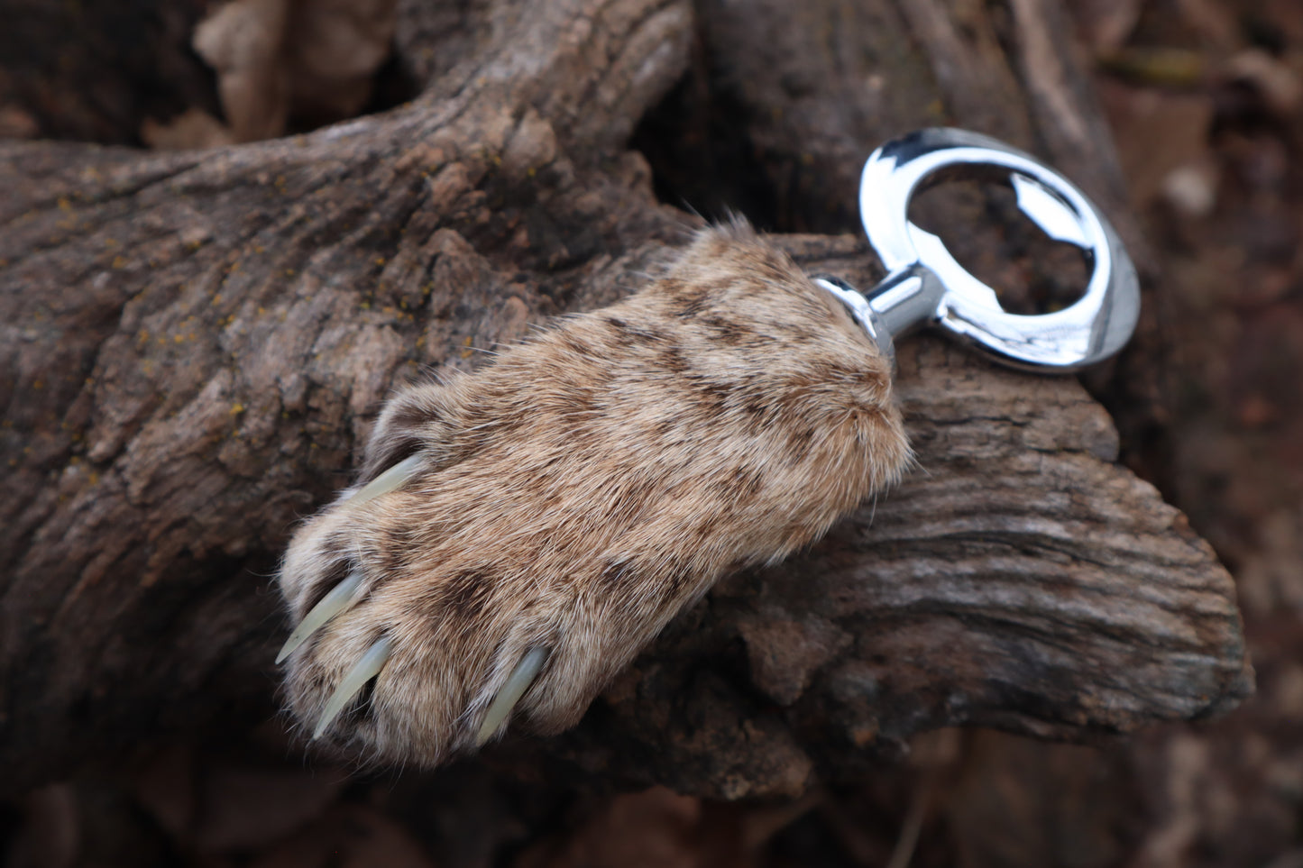 Reserved for Amber Michelle - Bobcat Paw Bottle Opener