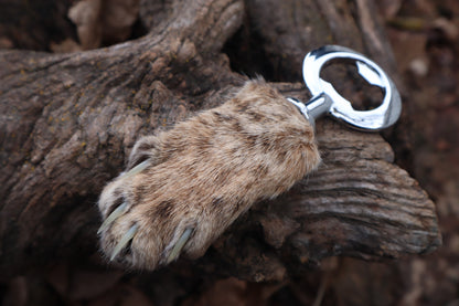 Reserved for Amber Michelle - Bobcat Paw Bottle Opener