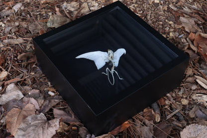 Articulated Baby Gryphon Skeleton