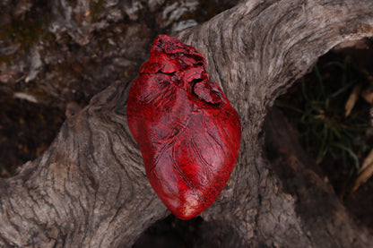 Dry Preserved Northern Rocky Mountain Timber Wolf Heart