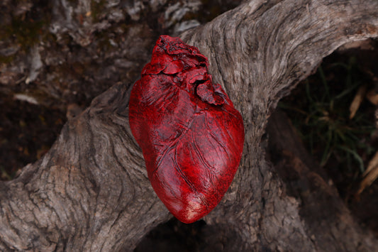 Dry Preserved Northern Rocky Mountain Timber Wolf Heart