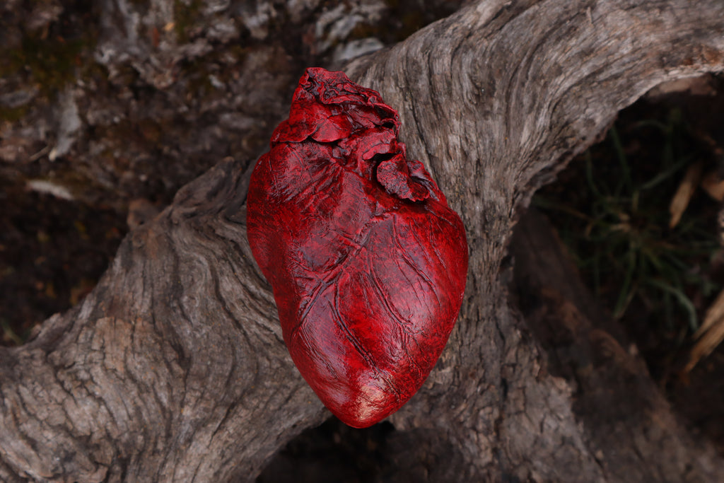 Dry Preserved Northern Rocky Mountain Timber Wolf Heart