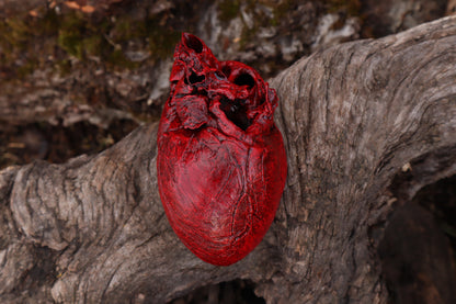 Dry Preserved Northern Rocky Mountain Timber Wolf Heart