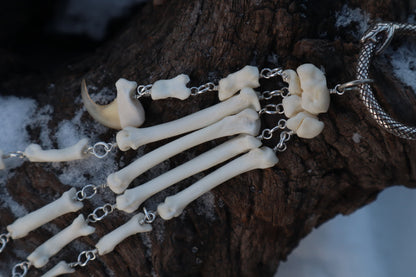 Fluid Bobcat Paw Articulation
