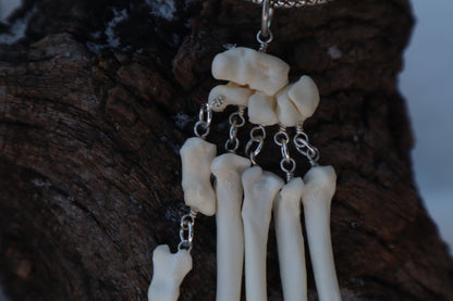 Fluid Bobcat Paw Articulation