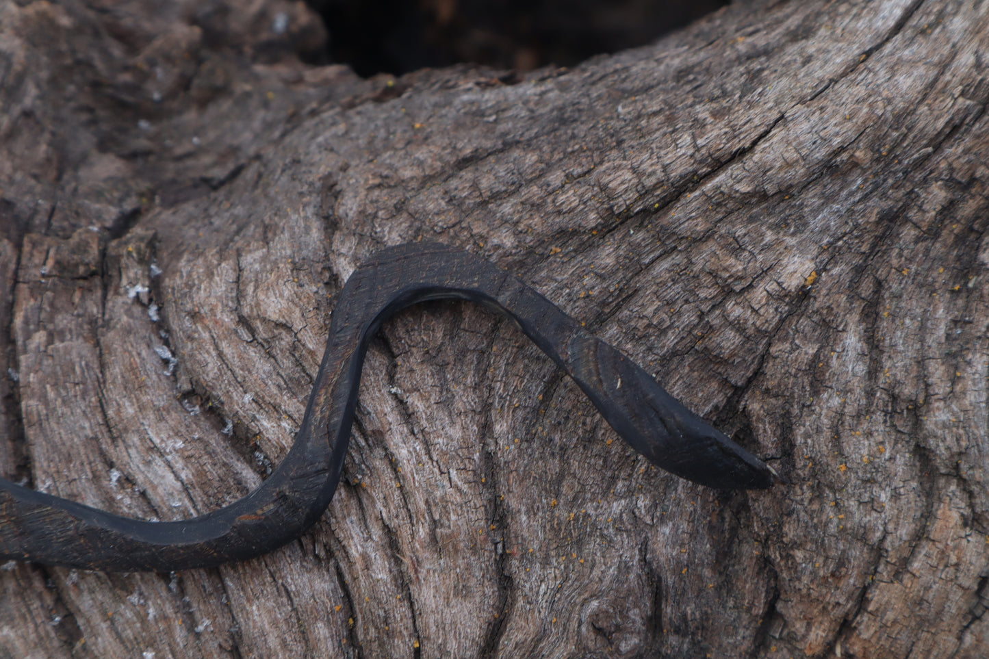 Goat Horn Offering Spoon