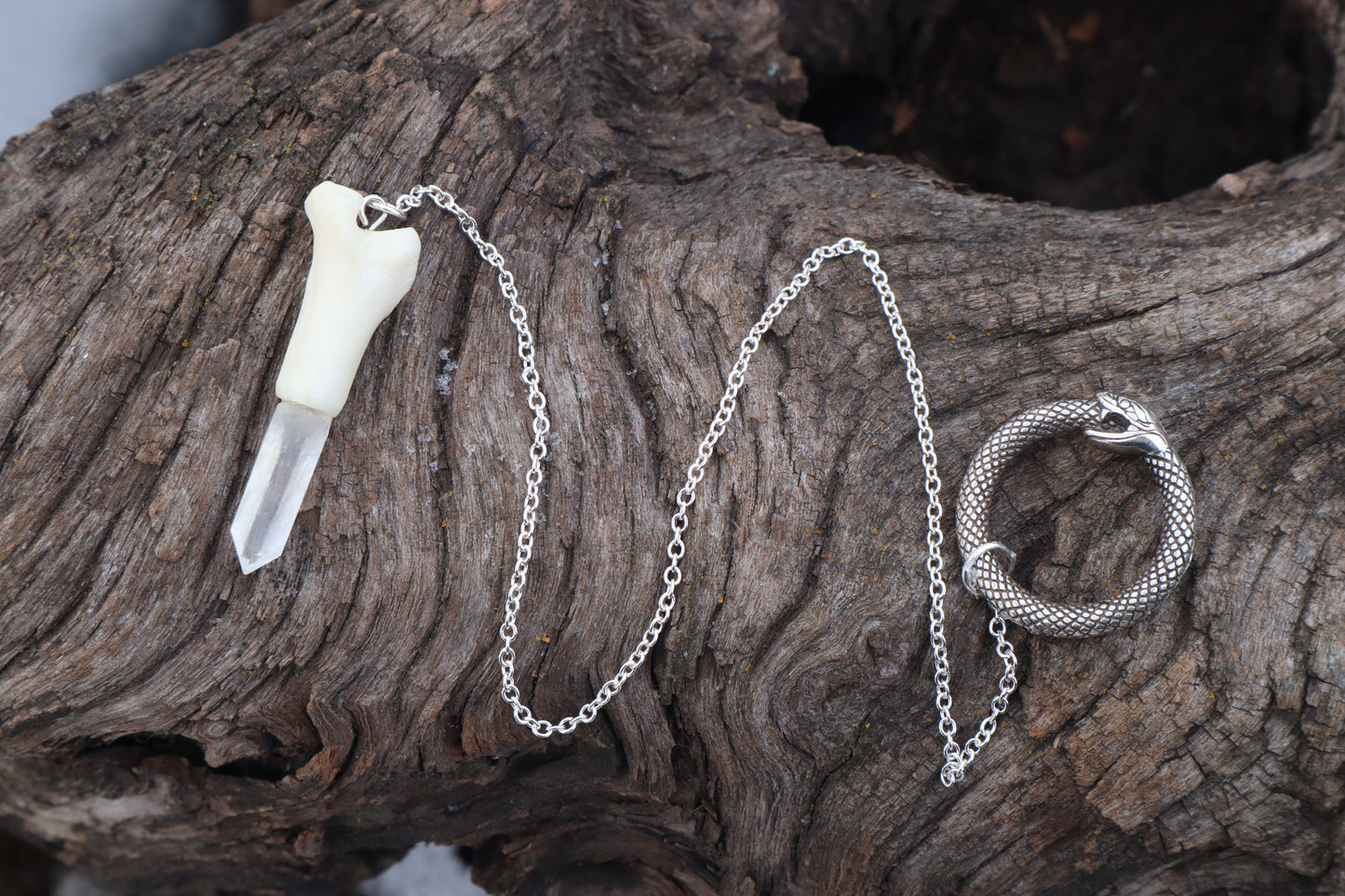Domestic Cat Tibia Pendulum with Ouroboros Ring