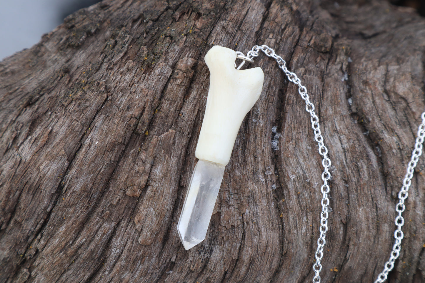 Domestic Cat Tibia Pendulum with Ouroboros Ring