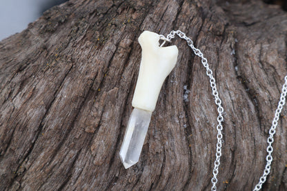 Domestic Cat Tibia Pendulum with Ouroboros Ring