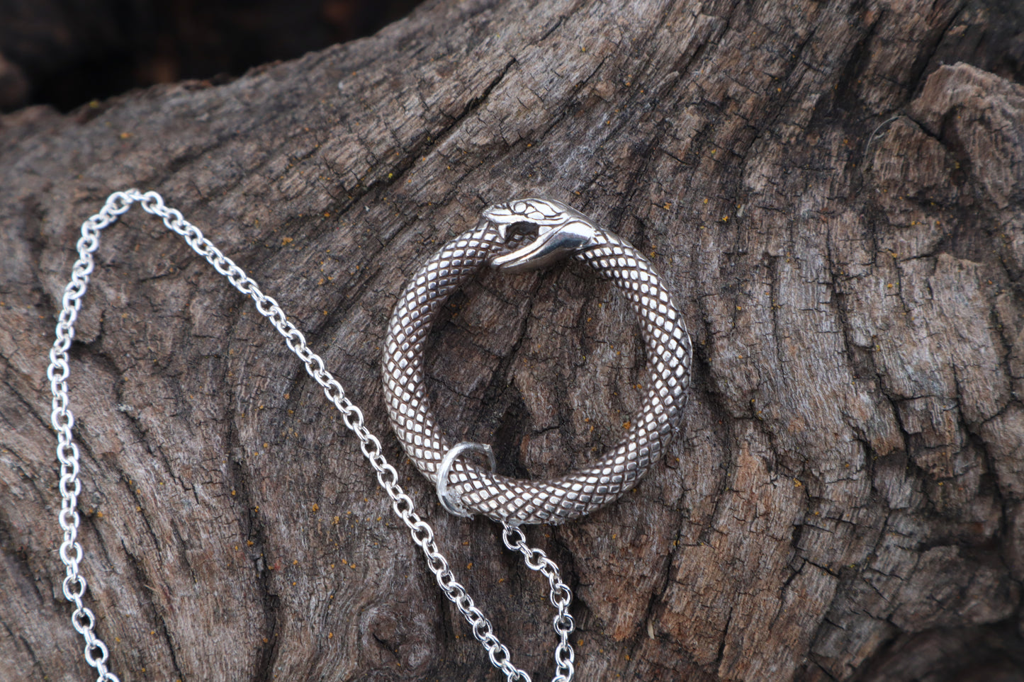 Domestic Cat Tibia Pendulum with Ouroboros Ring