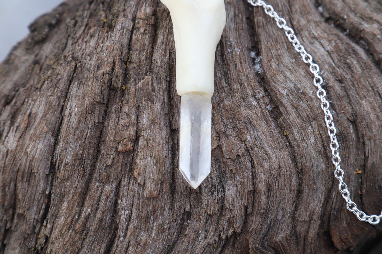 Domestic Cat Tibia Pendulum with Ouroboros Ring