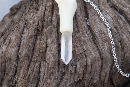 Domestic Cat Tibia Pendulum with Ouroboros Ring