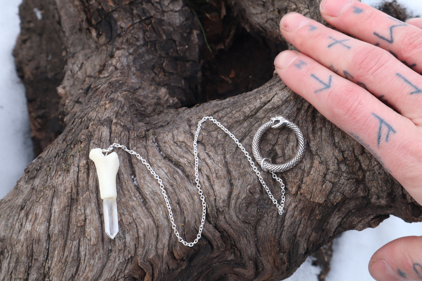 Domestic Cat Tibia Pendulum with Ouroboros Ring