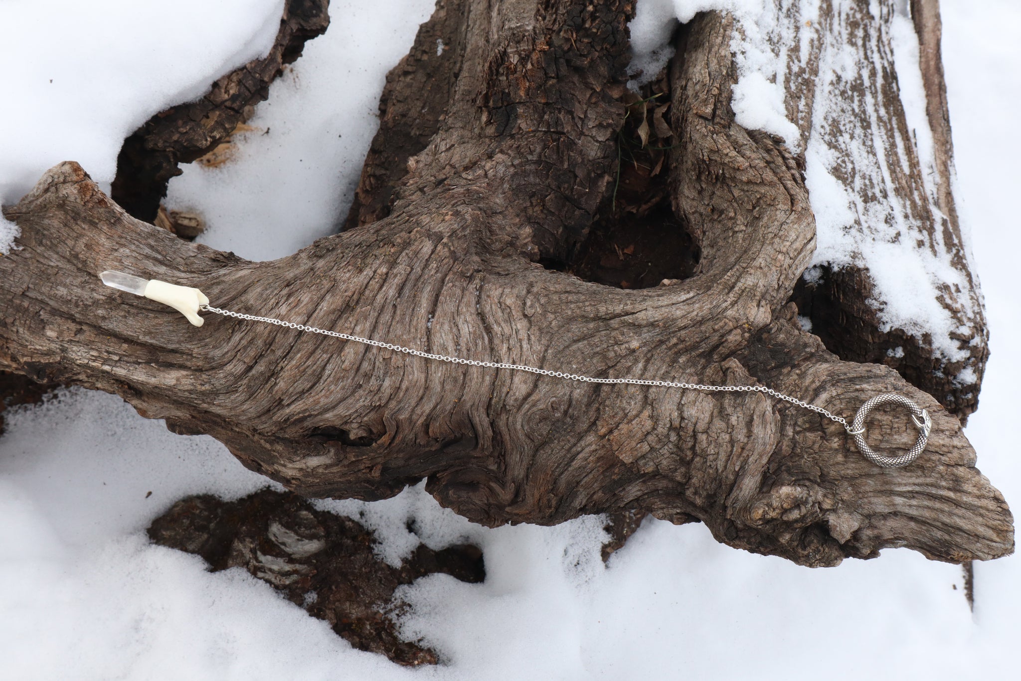 Domestic Cat Tibia Pendulum with Ouroboros Ring