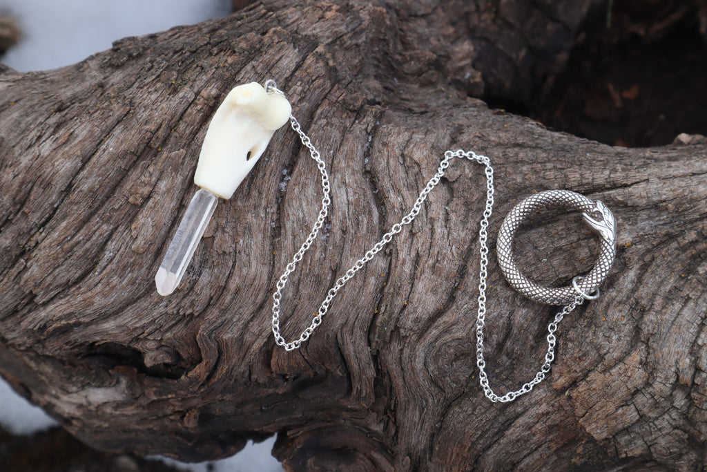 Domestic Cat Humerus Pendulum with Ouroboros Ring