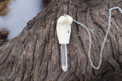 Domestic Cat Humerus Pendulum with Ouroboros Ring