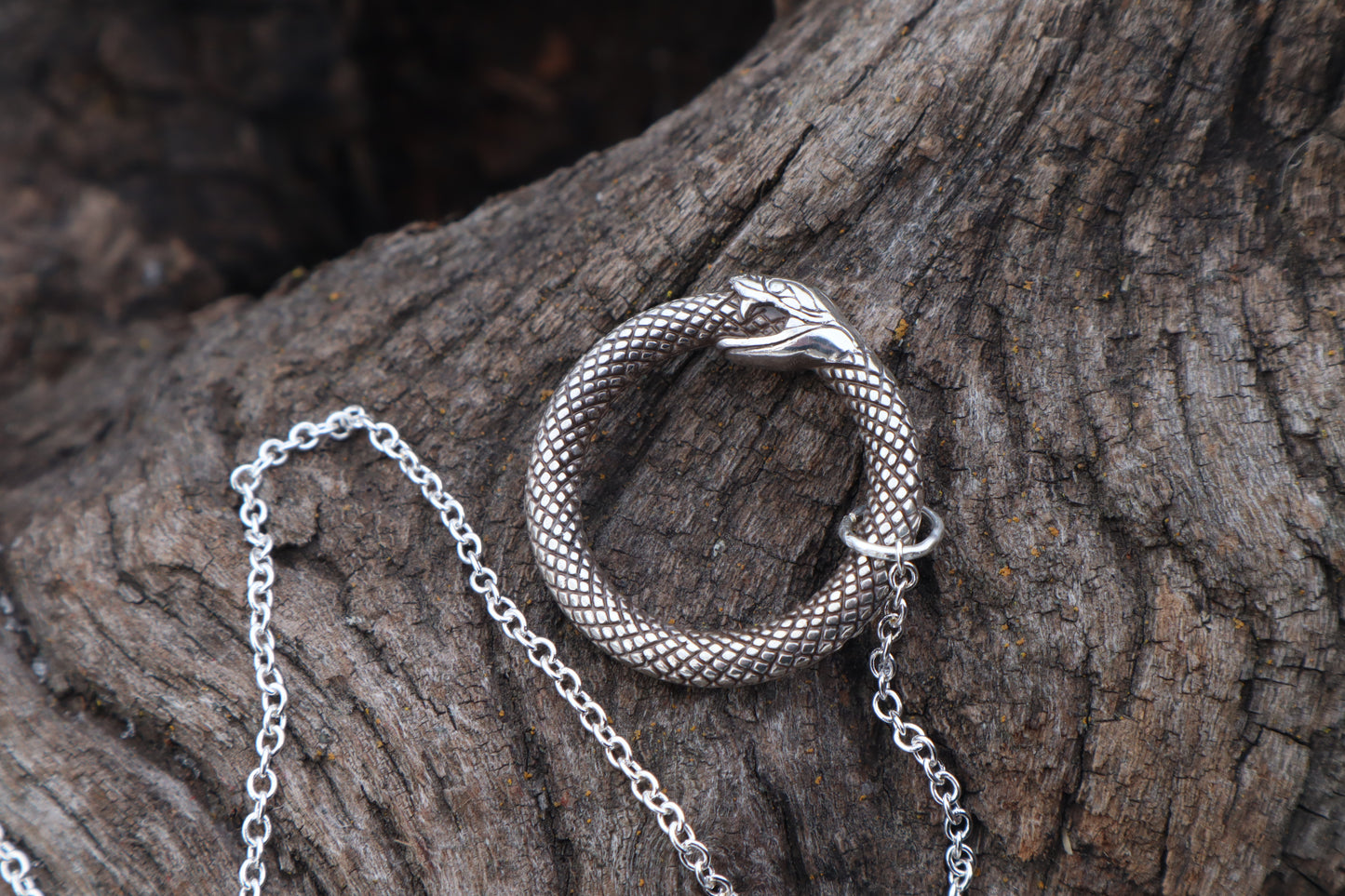 Domestic Cat Humerus Pendulum with Ouroboros Ring