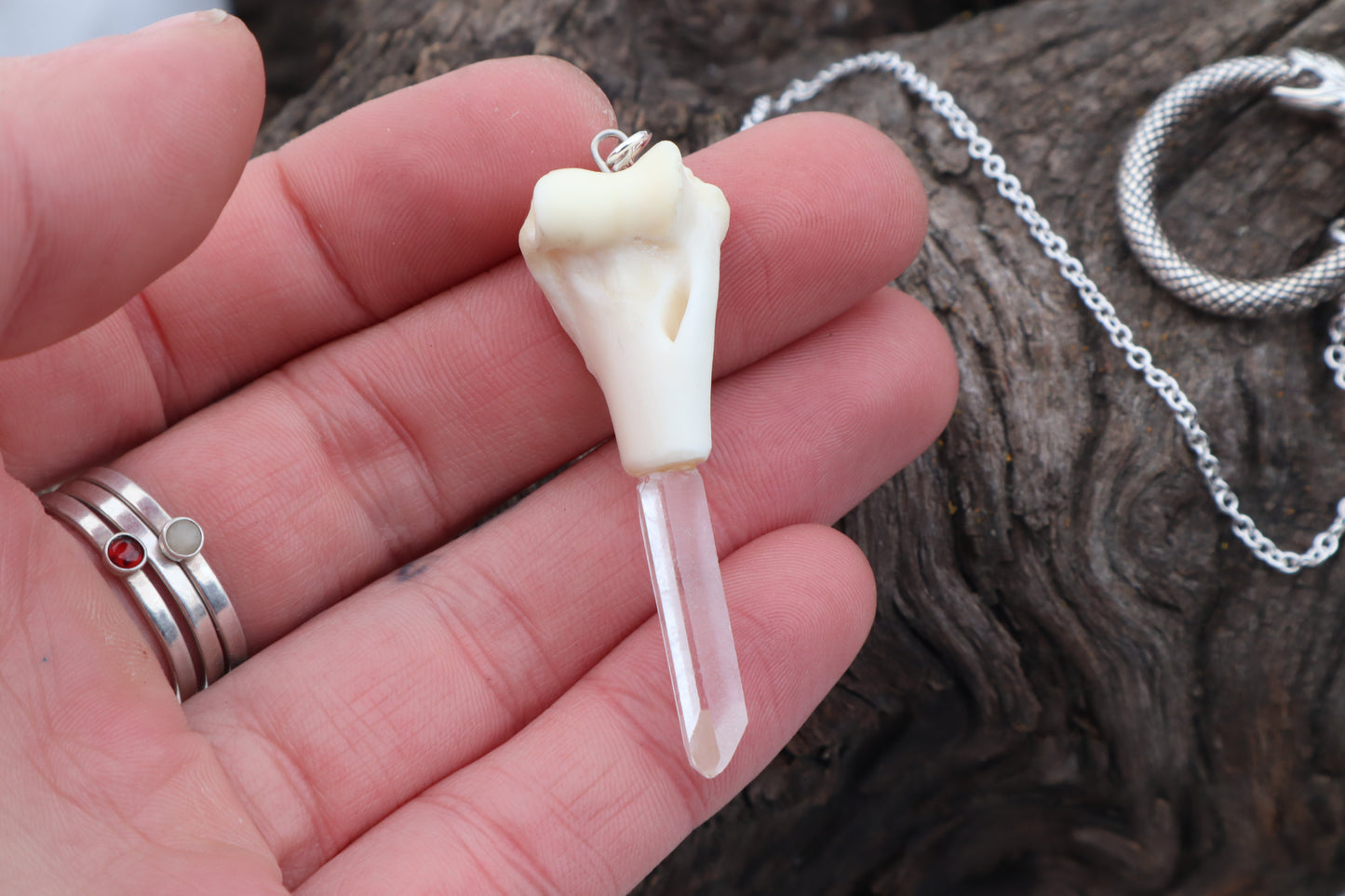 Domestic Cat Humerus Pendulum with Ouroboros Ring