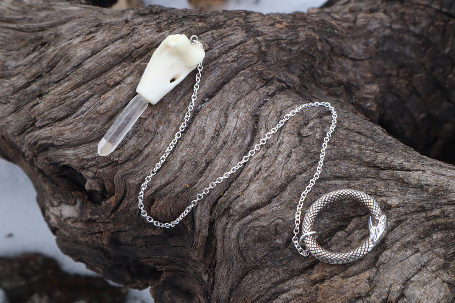 Domestic Cat Humerus Pendulum with Ouroboros Ring