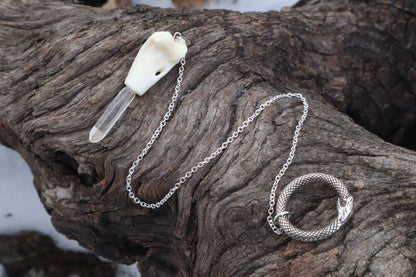 Domestic Cat Humerus Pendulum with Ouroboros Ring