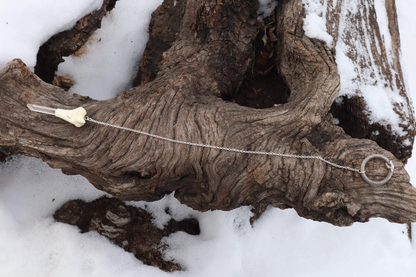 Domestic Cat Humerus Pendulum with Ouroboros Ring