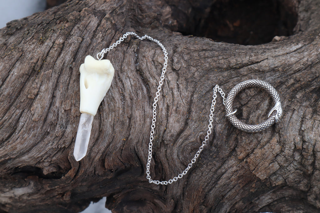Domestic Cat Humerus Pendulum with Ouroboros Ring
