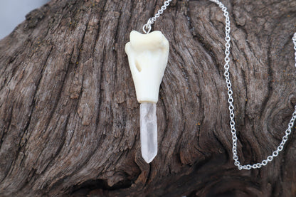 Domestic Cat Humerus Pendulum with Ouroboros Ring