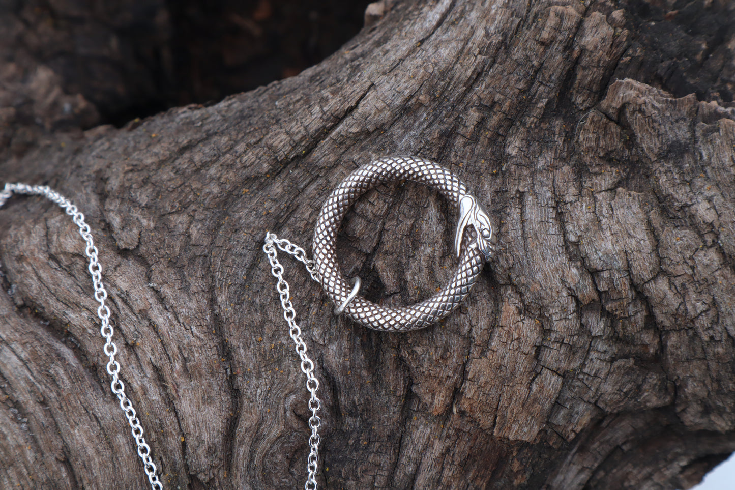Domestic Cat Humerus Pendulum with Ouroboros Ring