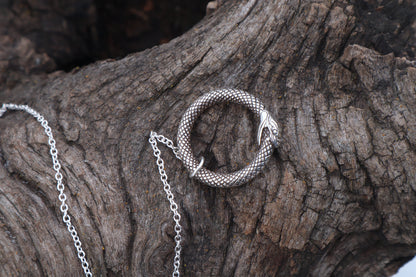 Domestic Cat Humerus Pendulum with Ouroboros Ring