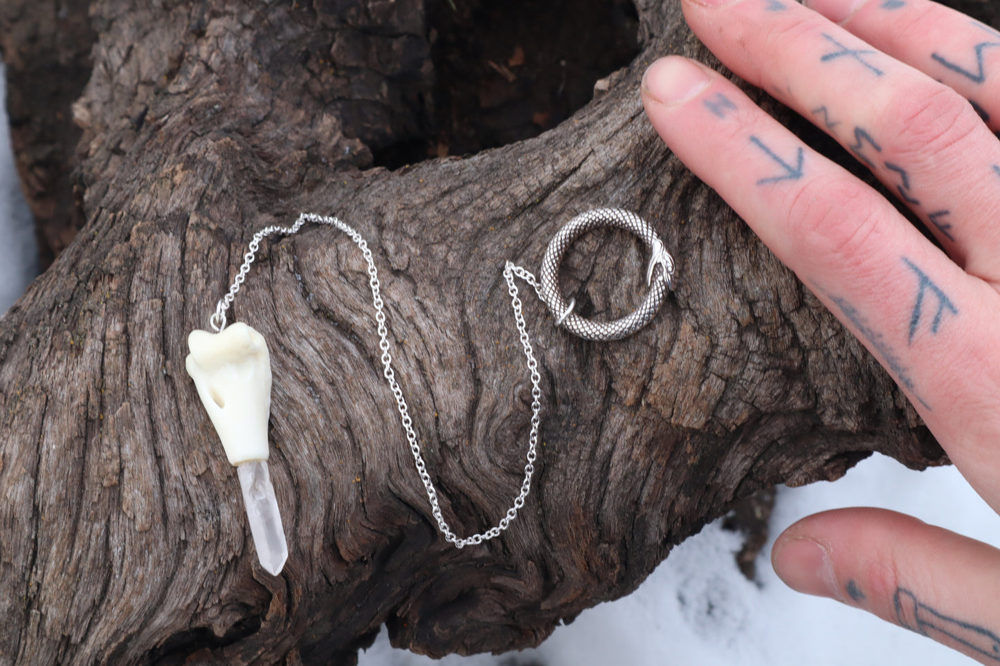 Domestic Cat Humerus Pendulum with Ouroboros Ring
