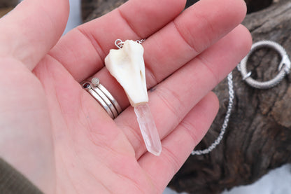 Domestic Cat Humerus Pendulum with Ouroboros Ring